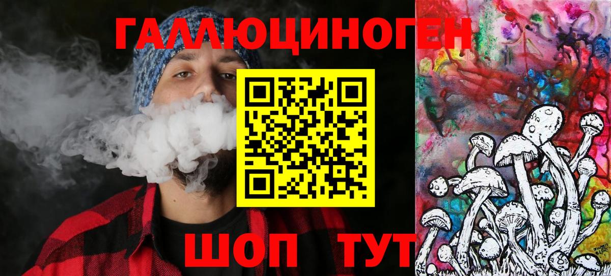 где продают   Псилоцибиновые грибы ЛСД  Вход с VPN  Будённовск 