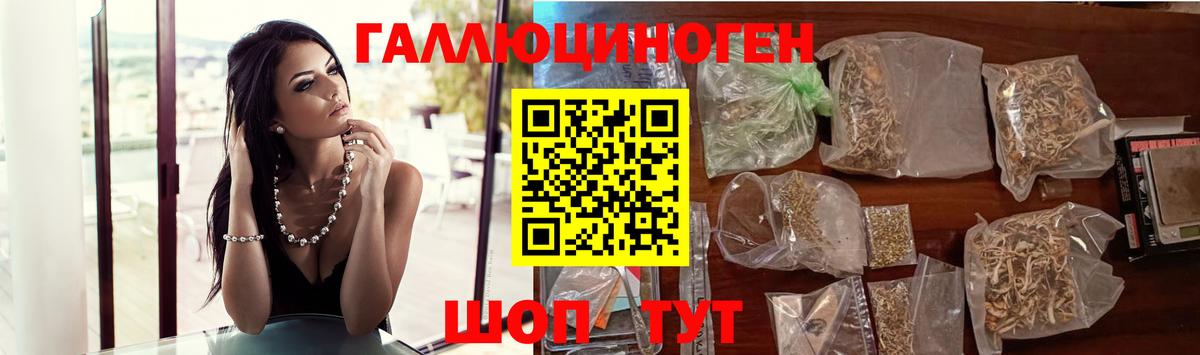 Псилоцибиновые грибы мухоморы Будённовск